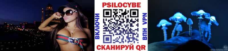 Галлюциногенные грибы Psilocybine cubensis  Луга 